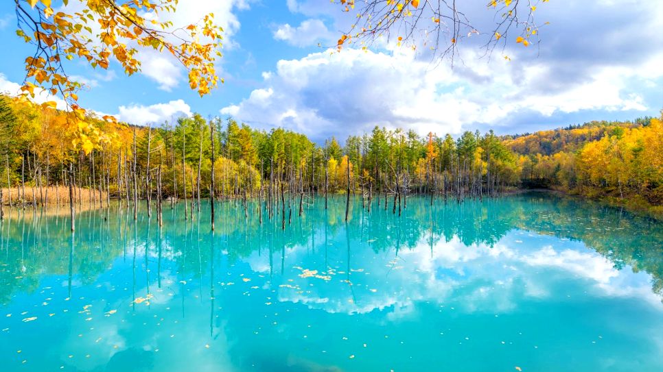 Hồ Xanh (Shirogane Blue Pond)