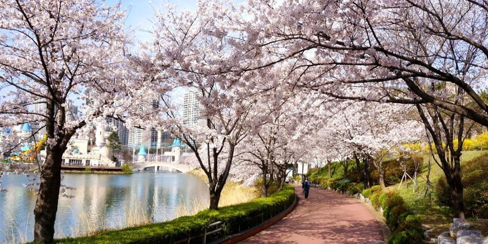 (KR001.05) Seoul – Morning Calm – Nami - Everland/Lotte