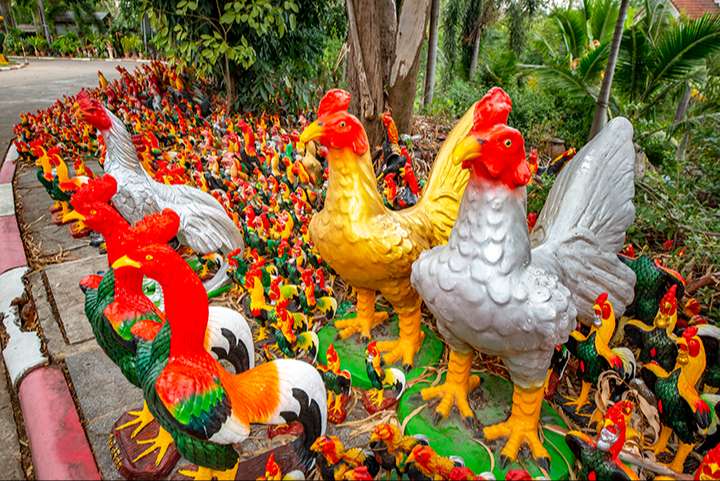 tượng đài Vua Naresuan tràn ngập hàng nghìn tượng gà trống và gà đá
