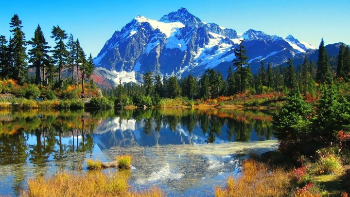 Kh&aacute;m ph&aacute; Vườn Quốc gia Thụy Sĩ - Tự nhi&ecirc;n ho&agrave;n hảo tại d&atilde;y n&uacute;i Alps