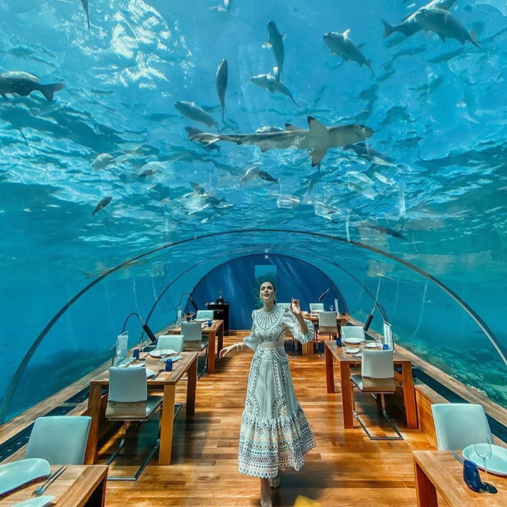 Check - in sang xịn ở nh&agrave; h&agrave;ng dưới l&ograve;ng biển