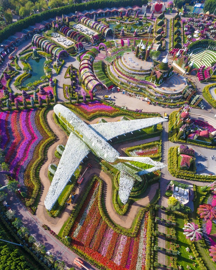 Tạo h&igrave;nh hoa theo k&iacute;ch thước thực của Emirates Airbus A380