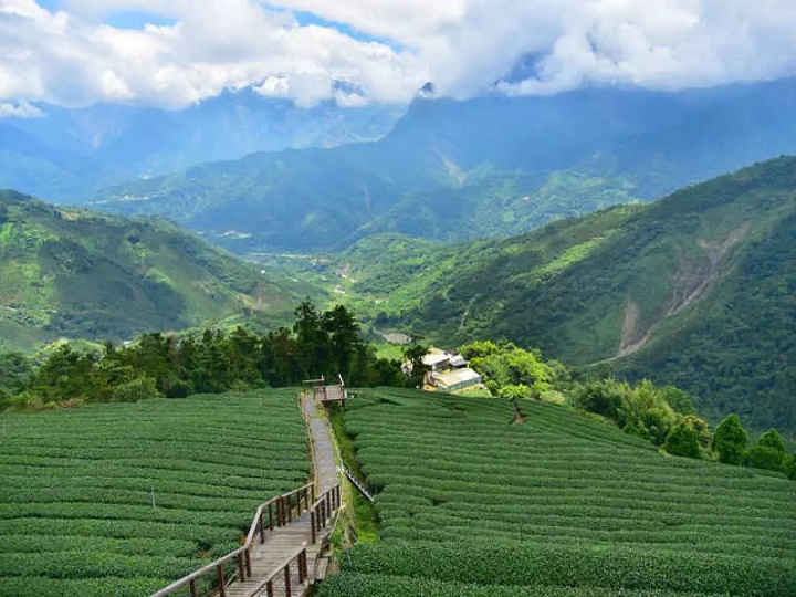 Taixingyan Trail là một hành trình tuyệt vời, mở ra từ đường Quận 166