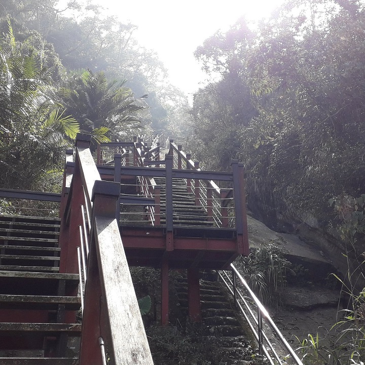 Hệ sinh thái tuyệt vời tại Taixingyan Trail