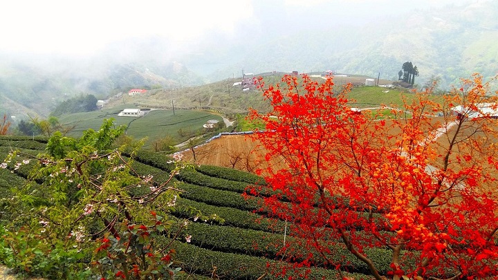 N&ecirc;n đến đ&acirc;y v&agrave;o thời gian n&agrave;o?&nbsp;