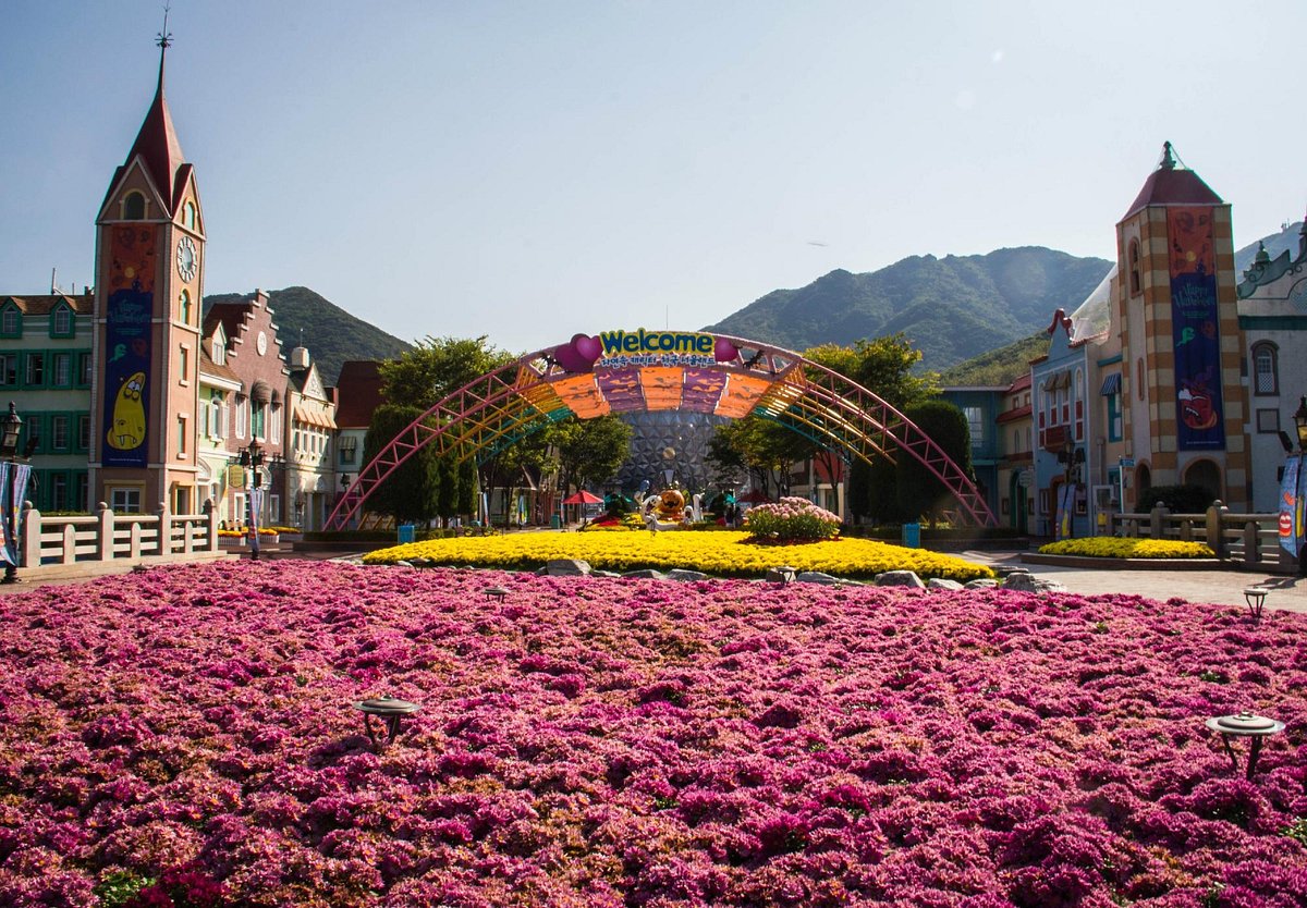 Rực rỡ sắc hoa trong khuôn viên Seoul Land