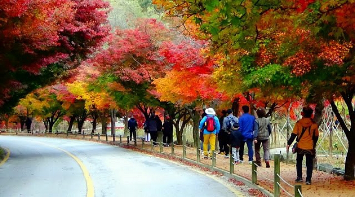 H&ograve;a m&igrave;nh v&agrave;o thi&ecirc;n nhi&ecirc;n trong chuyến đi bộ đường d&agrave;i