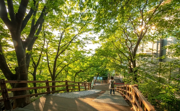 Namsan Park