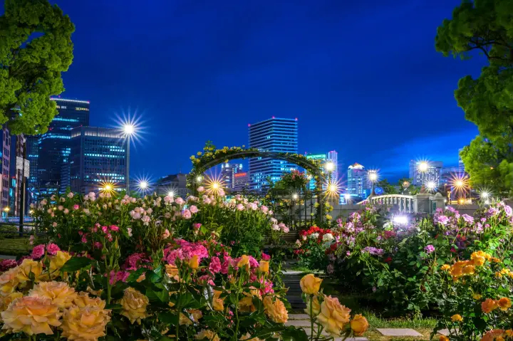 Công viên công cộng đầu tiên của thành phố Osaka