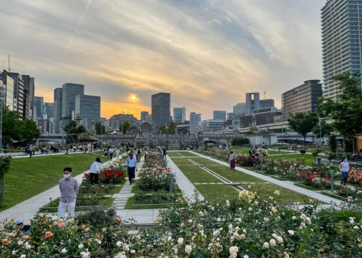 Nakanoshima được ví là công viên đẹp nhất ở Osaka