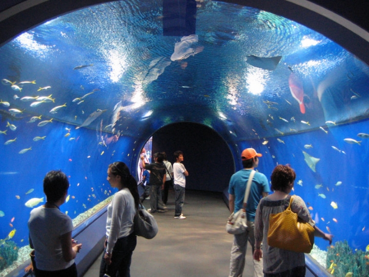 Đường hầm dưới nước của Cổng Aqua Gate