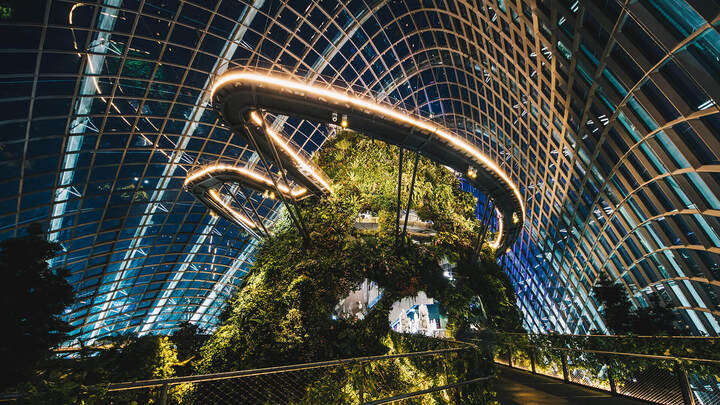 Trong những buổi tối mưa, Gardens by the Bay được chiếu sáng rất đẹp