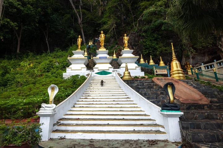 Trải nghiệm leo 1260 bậc thang