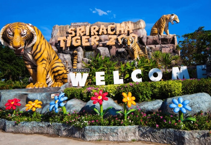 Vườn thú Sriracha Tiger