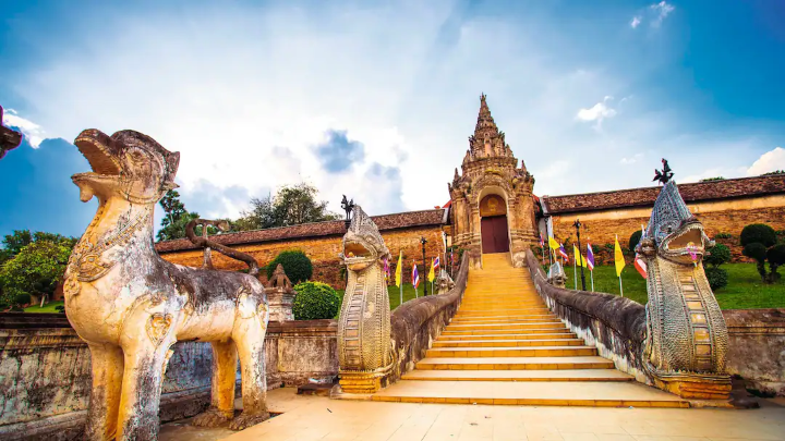 Hình ảnh con gà trống trắng trước cổng chùa