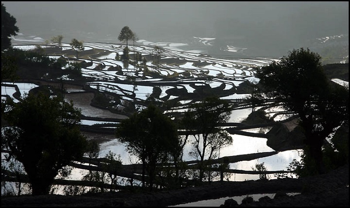 Yuanyang