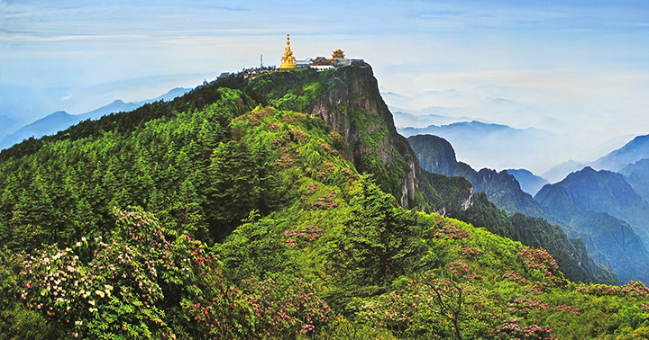 Cây lá đâm chồi ở núi Nga Mi vào mùa xuân