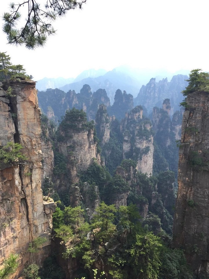 Vịnh Shentang