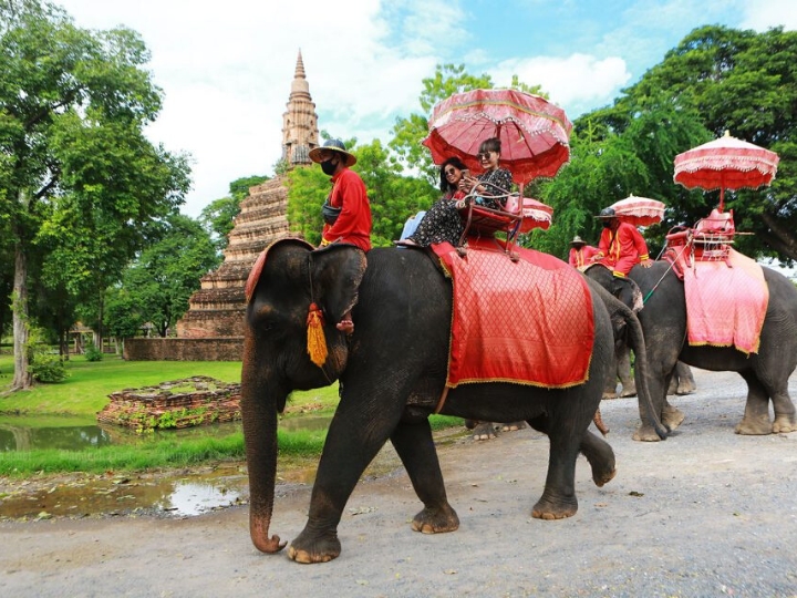 Trại voi Ayutthaya - Nơi bạn có thể trải nghiệm cảm giác cưỡi voi tham quan