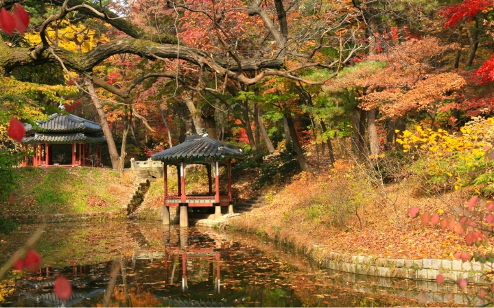 Vườn Bí Mật (Huwon) chìm trong sắc lá vàng, đỏ mỗi độ thu về