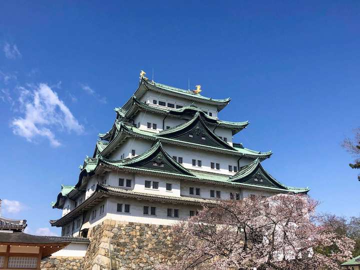 Vẻ đẹp lộng lẫy của lâu đài Nagoya níu chân du khách