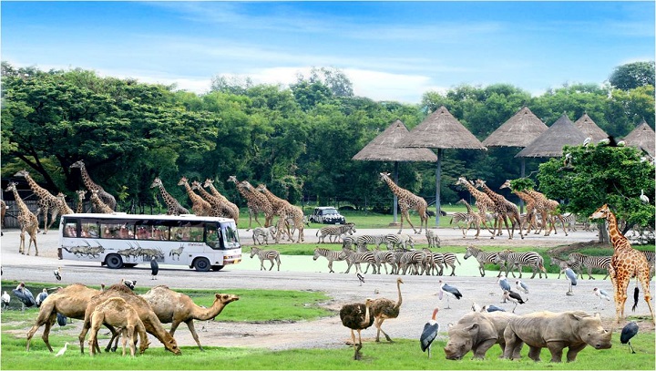 Safari World là công viên động vật hoang dã nổi tiếng với nhiều loài thú độc đáo