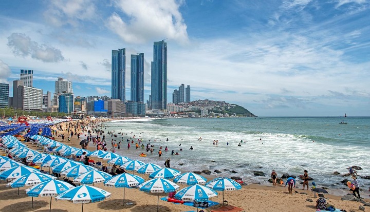 Tham gia các hoạt động bãi biển khi du lịch Busan mùa hè
