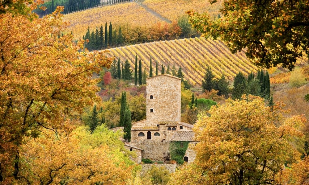 Mùa thu rực rỡ với vườn nho và lễ hội thu hoạch truyền thống tại Tuscany