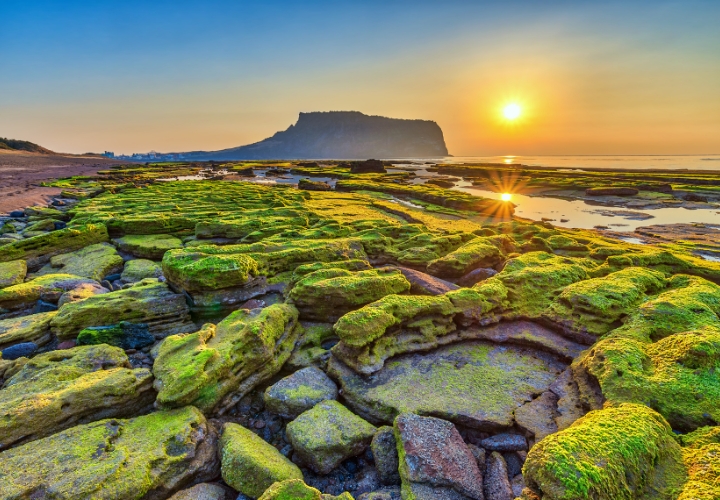 Jeju được mệnh danh là Hawaii của Hàn Quốc