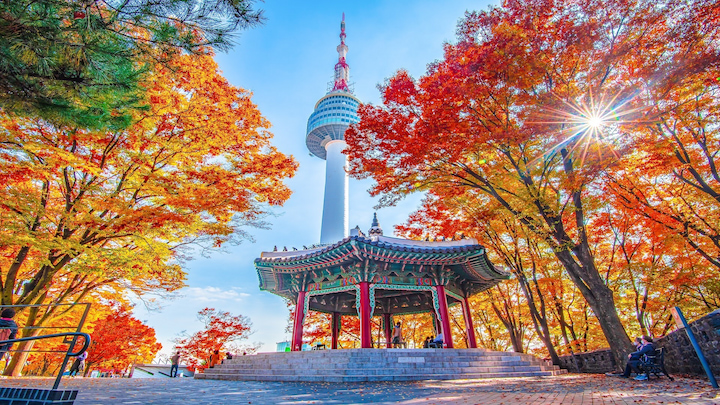 Thu trọn vẻ đẹp toàn cảnh mùa thu Seoul từ tháp Namsan