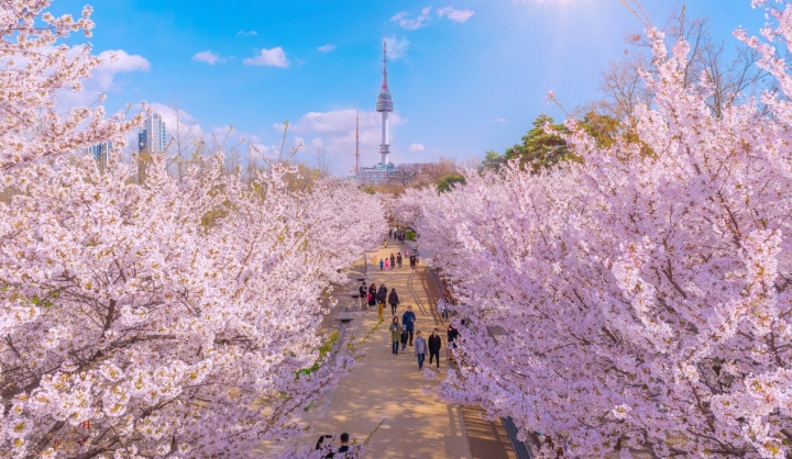 Tháp Namsan - Biểu tượng của thủ đô Seoul