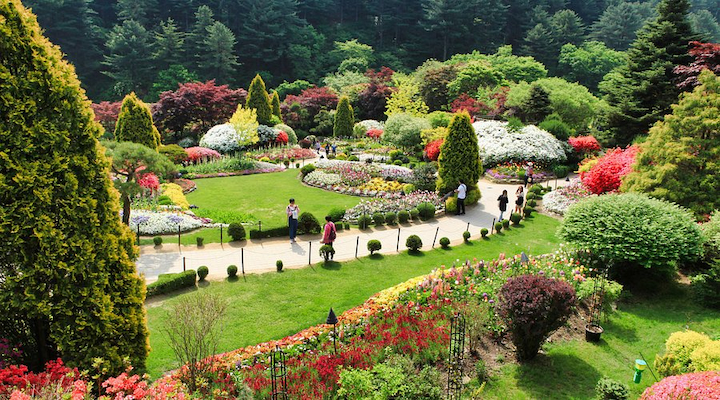 Vườn Garden of Morning Calm gây ấn tượng với hơn 5.000 loài thực vật sinh trưởng