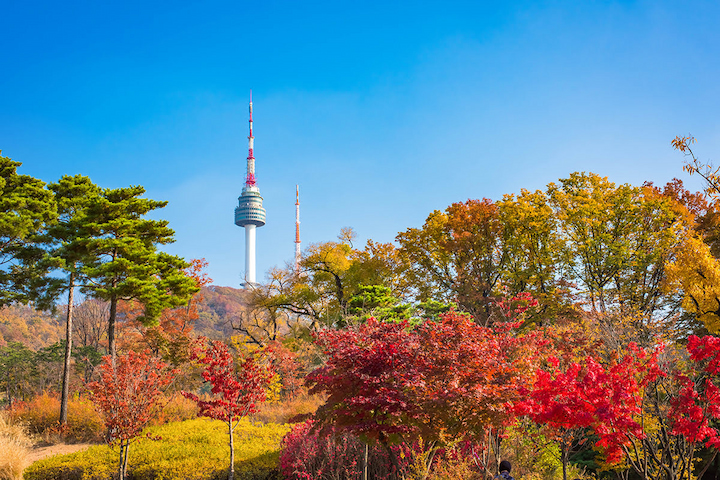 Bạn có thể chiêm ngưỡng toàn cảnh Seoul từ đài quan sát tháp Namsan