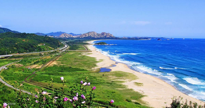 DMZ mang một màu xanh tươi mát của thiên nhiên và không khí trong lành