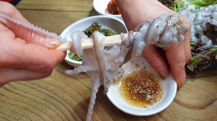 Bạch tuộc sống Sebal Nakji - Món ăn không thể bỏ lỡ khi du lịch Hàn Quốc tháng 8