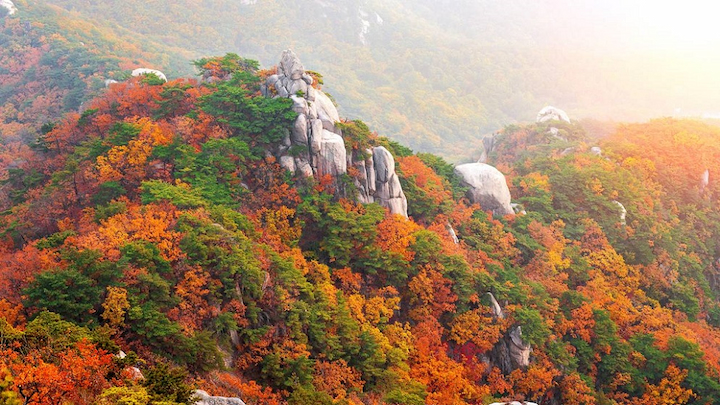 Bukhansan nổi bật với cảnh sắc thi&ecirc;n nhi&ecirc;n đẹp như tranh