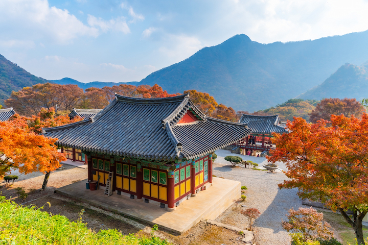 Vườn quốc gia Naejangsan được bao phủ bởi sắc v&agrave;ng, đỏ rực rỡ