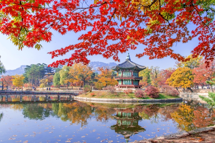 Khung cảnh thơ mộng với lá phong đỏ rực, thời tiết mát mẻ, thích hợp cho các hoạt động dã ngoại và check-in