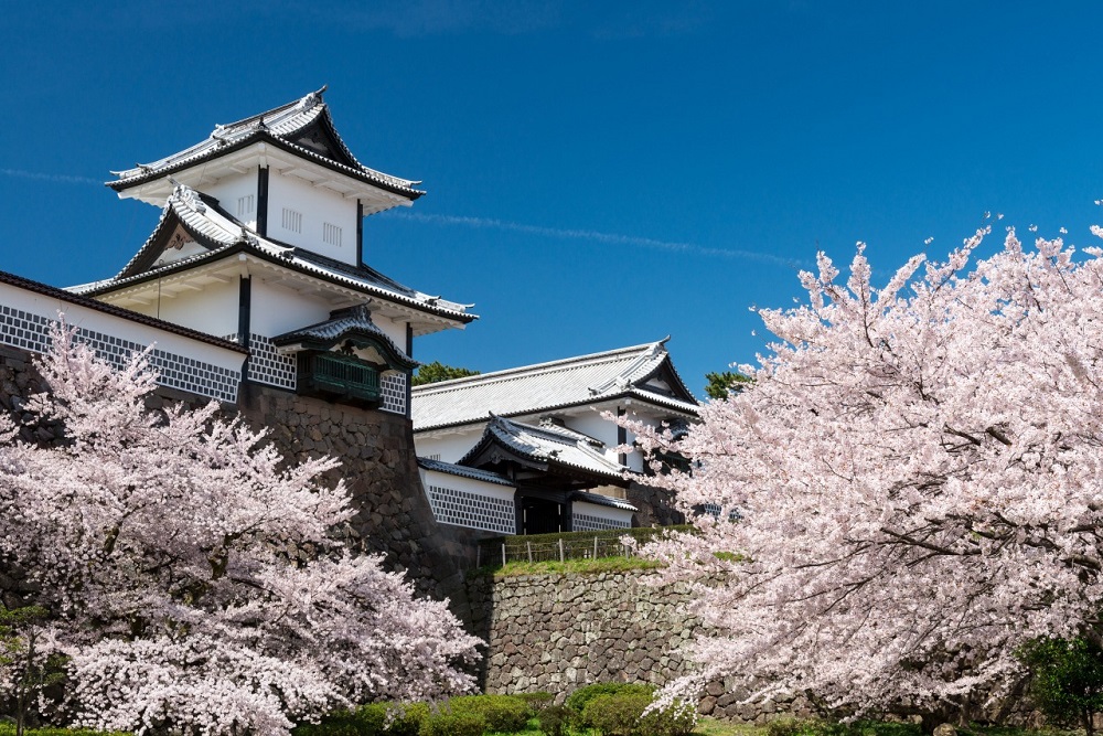 Toàn cảnh lâu đài Kanazawa với tường trắng và mái ngói cổ kính