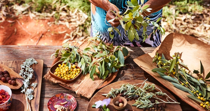 Một nét chấm phá hoang dã và là món ăn lạ lùng nhất – đó chính là món Bush Tucker