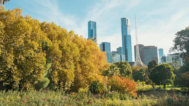 Vẻ đẹp lãng mạn đầy xao xuyến khi Melbourne vào thu