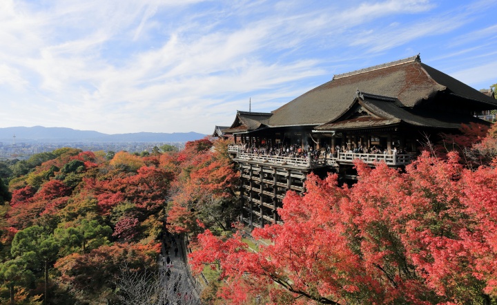 Kiyomizu-dera rực rỡ trong sắc lá phong đỏ vàng và tầm nhìn tuyệt đẹp từ ban công gỗ hướng ra thành phố Kyoto.
