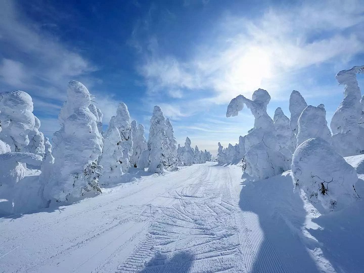 Shiga Kogen là địa điểm không thể bỏ qua cho những tín đồ trượt tuyết khi du lịch tại Nhật Bản