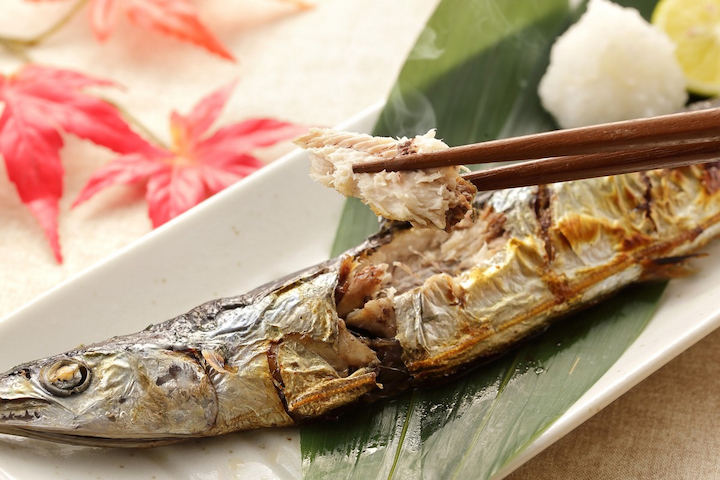 Đừng quên thưởng thức cá thu đao nếu bạn ghé thăm Nhật Bản tháng 9