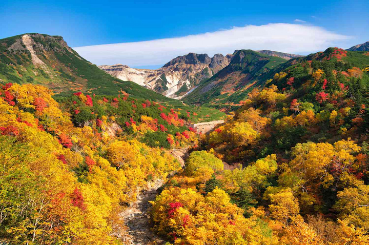 Vườn Quốc gia Daisetsuzan (Hokkaido) là nơi đón mùa thu sớm nhất tại Nhật Bản