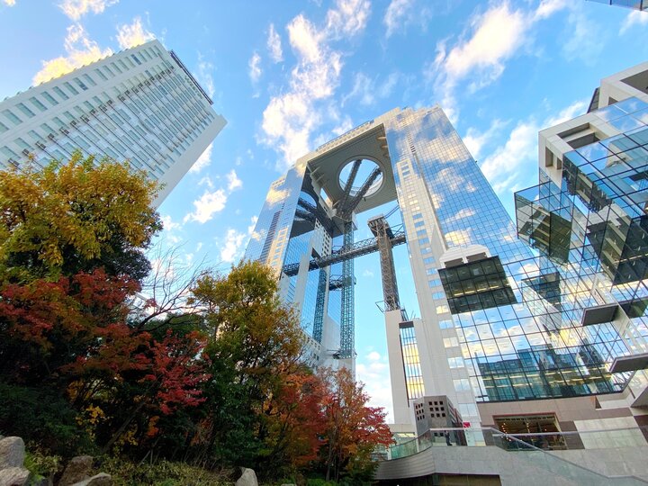 Ngắm nhìn Osaka từ đài quan sát Umeda Sky Building