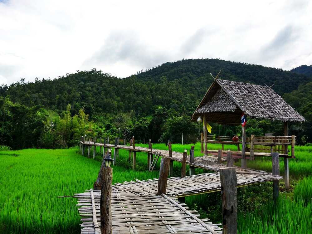 Thị trấn Pai – điểm đến yên bình giữa núi rừng Bắc Thái, nổi tiếng với cảnh sắc nên thơ và nhịp sống chậm rãi