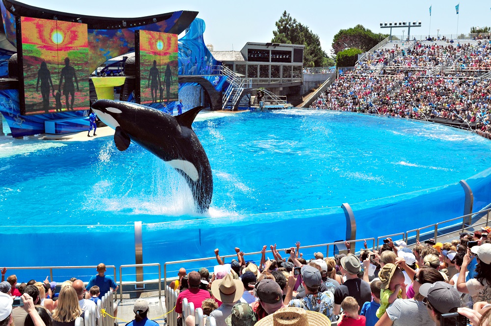 SeaWorld San Diego &ndash; điểm hẹn l&yacute; tưởng để kh&aacute;m ph&aacute; thế giới sinh vật biển