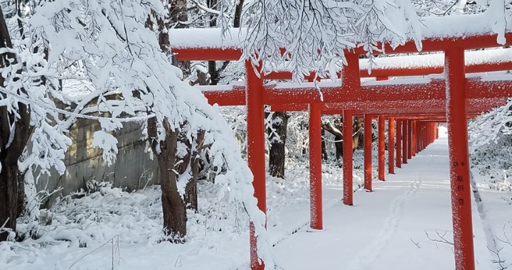 đền thờ Sapporo Inari Fushimi, một địa điểm linh thiêng với vẻ đẹp huyền bí, đặc biệt khi tuyết phủ trắng xóa