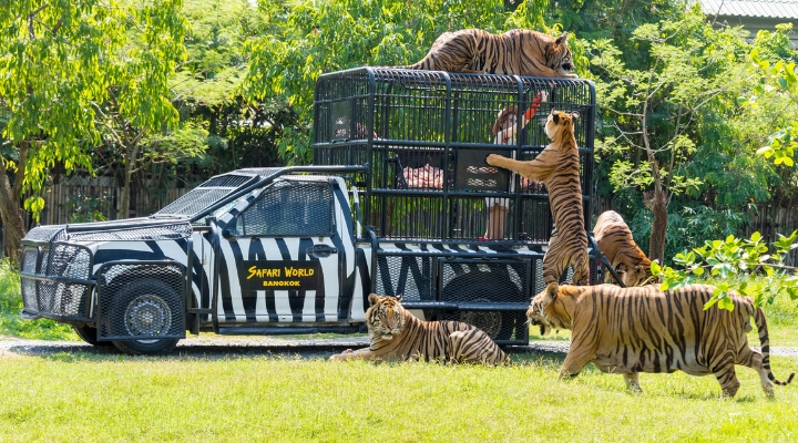Khám phá thiên nhiên hoang dã tại Safari World Bangkok